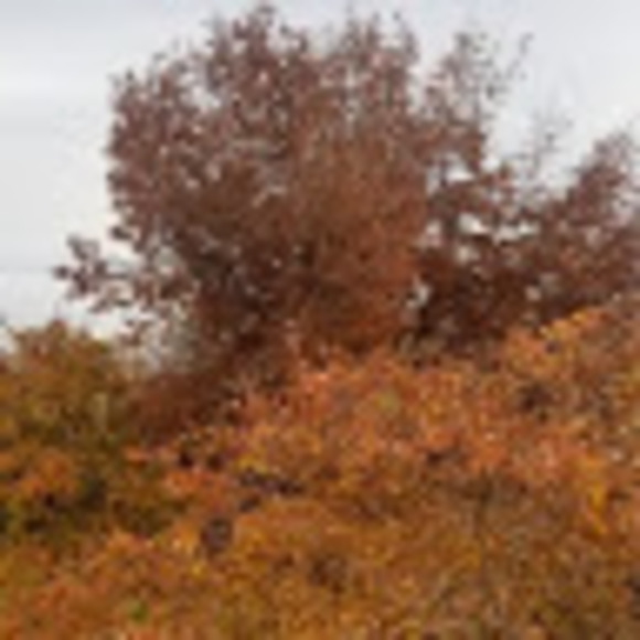 Meet your Posher, Sean - Picture 1 of 1